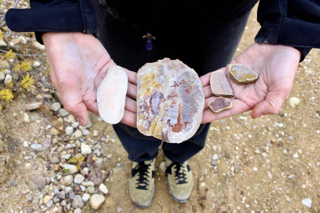 wild material collecting